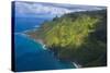 Aerial of the Napali Coast, Kauai, Hawaii, United States of America, Pacific-Michael Runkel-Stretched Canvas