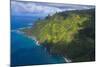 Aerial of the Napali Coast, Kauai, Hawaii, United States of America, Pacific-Michael Runkel-Mounted Photographic Print