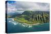 Aerial of the Napali Coast, Kauai, Hawaii, United States of America, Pacific-Michael Runkel-Stretched Canvas
