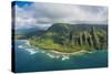 Aerial of the Napali Coast, Kauai, Hawaii, United States of America, Pacific-Michael Runkel-Stretched Canvas