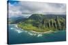 Aerial of the Napali Coast, Kauai, Hawaii, United States of America, Pacific-Michael Runkel-Stretched Canvas