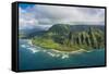 Aerial of the Napali Coast, Kauai, Hawaii, United States of America, Pacific-Michael Runkel-Framed Stretched Canvas