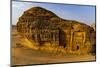 Aerial of the rock tombs, Madain Saleh (Hegra) (Al Hijr), UNESCO World Heritage Site, Al Ula-Michael Runkel-Mounted Photographic Print