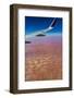 Aerial of the Rub al Khali, the Empty Quarter, Kingdom of Saudi Arabia, Middle East-Michael Runkel-Framed Photographic Print