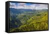 Aerial of the Rugged Interior of the Island of Kauai, Hawaii, United States of America, Pacific-Michael Runkel-Framed Stretched Canvas