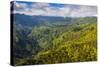 Aerial of the Rugged Interior of the Island of Kauai, Hawaii, United States of America, Pacific-Michael Runkel-Stretched Canvas