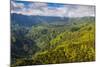 Aerial of the Rugged Interior of the Island of Kauai, Hawaii, United States of America, Pacific-Michael Runkel-Mounted Photographic Print