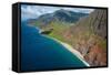 Aerial of the Rugged Napali Coast, Kauai, Hawaii, United States of America, Pacific-Michael Runkel-Framed Stretched Canvas