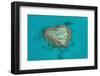 Aerial of the Whit Sunday Islands, Queensland, Australia, Pacific-Michael Runkel-Framed Photographic Print