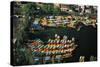 Aerial of Xochimilco Floating Gardens-Danny Lehman-Stretched Canvas