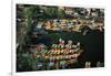 Aerial of Xochimilco Floating Gardens-Danny Lehman-Framed Photographic Print