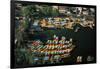 Aerial of Xochimilco Floating Gardens-Danny Lehman-Framed Photographic Print