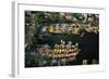 Aerial of Xochimilco Floating Gardens-Danny Lehman-Framed Photographic Print