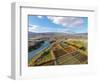 Aerial over autumn Orchards, Bannockburn, Central Otago, South Island, New Zealand-David Wall-Framed Photographic Print