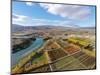 Aerial over autumn Orchards, Bannockburn, Central Otago, South Island, New Zealand-David Wall-Mounted Photographic Print