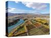 Aerial over autumn Orchards, Bannockburn, Central Otago, South Island, New Zealand-David Wall-Stretched Canvas