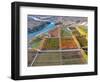 Aerial over autumn Orchards, Bannockburn, Central Otago, South Island, New Zealand-David Wall-Framed Photographic Print