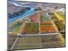 Aerial over autumn Orchards, Bannockburn, Central Otago, South Island, New Zealand-David Wall-Mounted Photographic Print