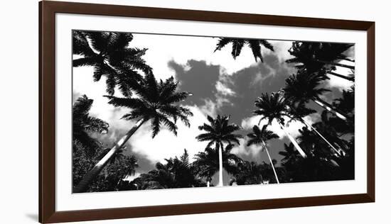 Aerial Palms-Malcolm Sanders-Framed Giclee Print