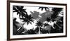 Aerial Palms-Malcolm Sanders-Framed Giclee Print