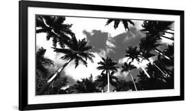 Aerial Palms-Malcolm Sanders-Framed Giclee Print