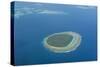 Aerial Photo of a Little Island in Tonga, South Pacific, Pacific-Michael Runkel-Stretched Canvas