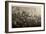 Aerial Photo of Downtown Philadelphia, Taken from the LZ 127 Graf Zeppelin, 1928-German photographer-Framed Photographic Print