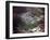 Aerial Photo of Jonestown, Guyana-null-Framed Photo