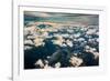 Aerial photo of Southeast Alaska-Mark A Johnson-Framed Photographic Print