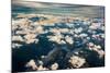 Aerial photo of Southeast Alaska-Mark A Johnson-Mounted Photographic Print