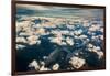 Aerial photo of Southeast Alaska-Mark A Johnson-Framed Photographic Print