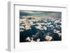 Aerial photo of Southeast Alaska-Mark A Johnson-Framed Photographic Print