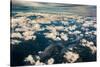 Aerial photo of Southeast Alaska-Mark A Johnson-Stretched Canvas