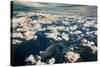 Aerial photo of Southeast Alaska-Mark A Johnson-Stretched Canvas