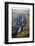 Aerial Photo of the Palouse River Which Has Cut a Canyon Through the Scablands of East Washington-Ben Herndon-Framed Photographic Print