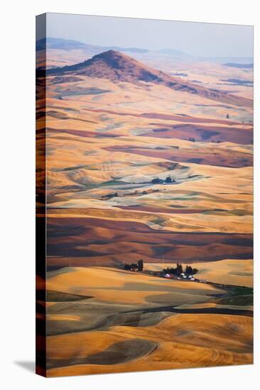 Aerial Photo of the Palouse with Steptoe Butte, Washington-Ben Herndon-Stretched Canvas