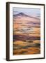 Aerial Photo of the Palouse with Steptoe Butte, Washington-Ben Herndon-Framed Photographic Print