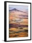 Aerial Photo of the Palouse with Steptoe Butte, Washington-Ben Herndon-Framed Photographic Print