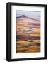 Aerial Photo of the Palouse with Steptoe Butte, Washington-Ben Herndon-Framed Photographic Print