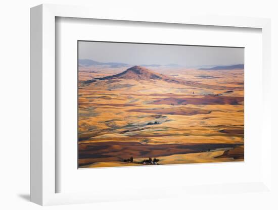 Aerial Photo of the Palouse with Steptoe Butte, Washington-Ben Herndon-Framed Photographic Print