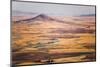Aerial Photo of the Palouse with Steptoe Butte, Washington-Ben Herndon-Mounted Photographic Print
