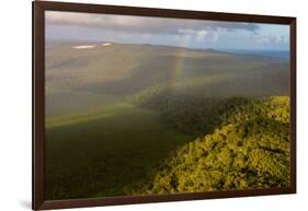 Aerial photograph of a rainbow & giant sand dunes, Great Sandy National Park, Australia-Mark A Johnson-Framed Photographic Print