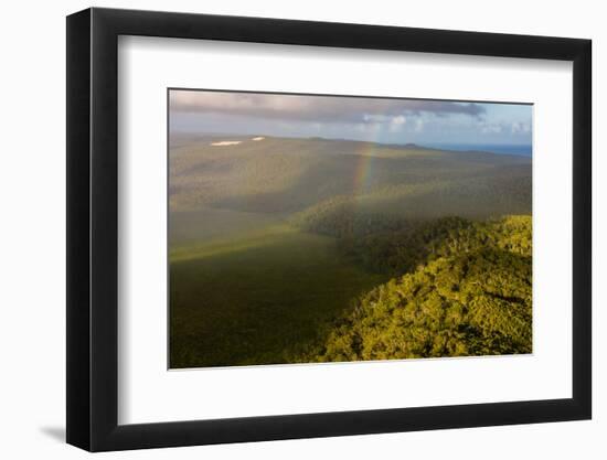 Aerial photograph of a rainbow & giant sand dunes, Great Sandy National Park, Australia-Mark A Johnson-Framed Photographic Print