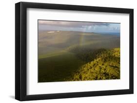 Aerial photograph of a rainbow & giant sand dunes, Great Sandy National Park, Australia-Mark A Johnson-Framed Photographic Print