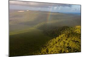 Aerial photograph of a rainbow & giant sand dunes, Great Sandy National Park, Australia-Mark A Johnson-Mounted Photographic Print