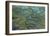 Aerial Photograph of Marsh Area of Essex County Tidal Wetlands East of Ipswich Area O…, 1978 (Photo-Nathan Benn-Framed Giclee Print