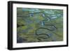 Aerial Photograph of Marsh Area of Essex County Tidal Wetlands East of Ipswich Area O…, 1978 (Photo-Nathan Benn-Framed Giclee Print