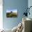 Aerial photograph of Mt Beerwah & Mt Coonowrin, Glasshouse Mountains, Australia-Mark A Johnson-Photographic Print displayed on a wall