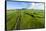 Aerial photograph of pasture land near Waimea, Big Island, Hawaii-Mark A Johnson-Framed Stretched Canvas