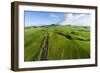 Aerial photograph of pasture land near Waimea, Big Island, Hawaii-Mark A Johnson-Framed Photographic Print